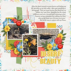 Desert Beauty