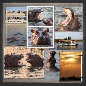 Boat Cruise in St Lucia Estuary RHS