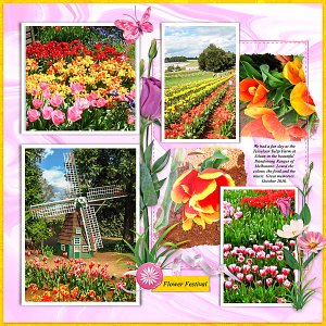 Tulip Festival