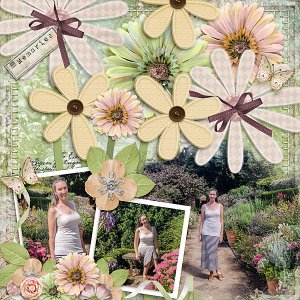 Gardin