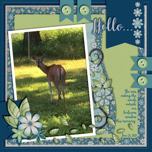 June Template Challenge #2 June 2020