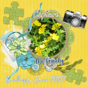 Sundrops