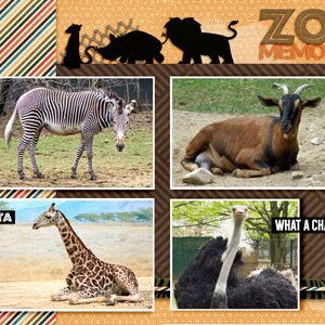 Zoo Memories