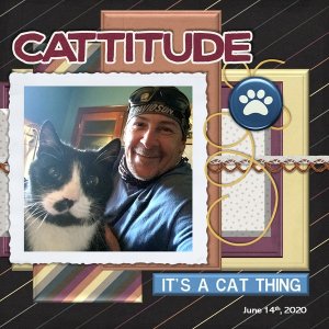 June 2020 Scraplift Challenge