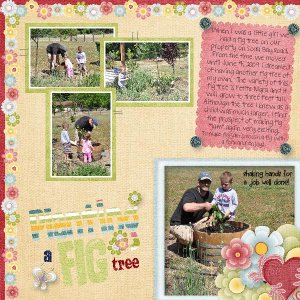 Fig Tree