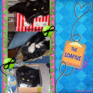 Loafius