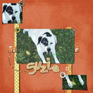 Suzie