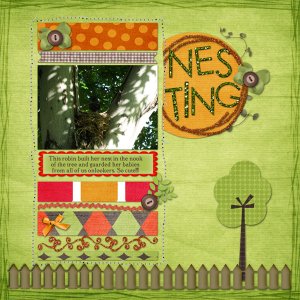 Nesting