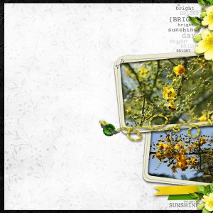 Yellow Flowers