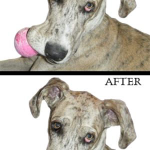 OTS: Mission #1: Recoloring