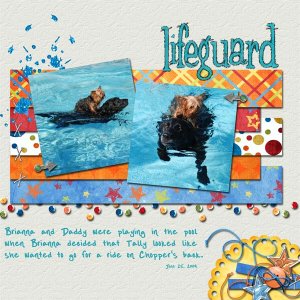 Lifeguard