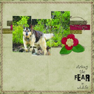 Fear
