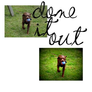cloneitout