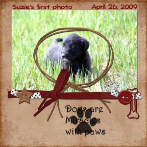Suzie's First PhotoJune 2