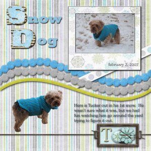 Snow Dog