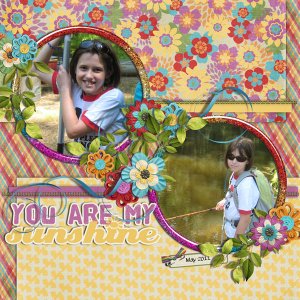 you are my sunshine
