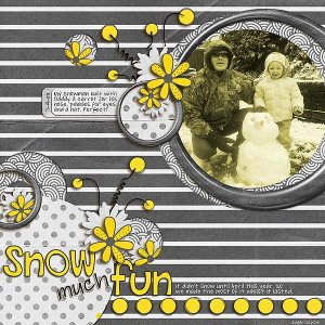 SnS-SnowMuchFun