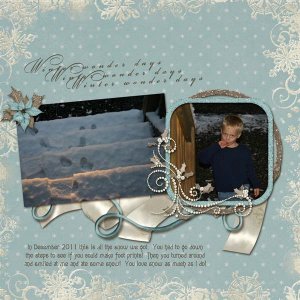 Winter Wonder Days