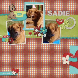 Sadie---June-2011