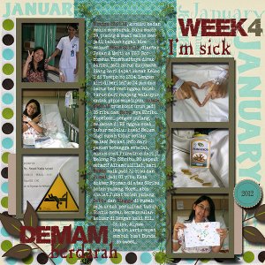 Nadia_Week 4 - January 2012