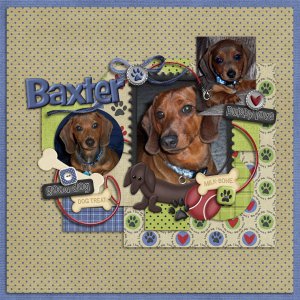Baxter