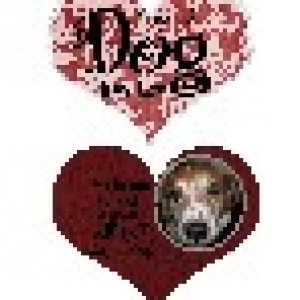 GS_MyFirst_cbj_mfl_minialbum_3_Thumbnail_Web_view