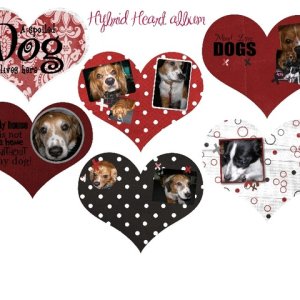 Hybrid heart album