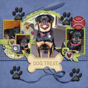 Petshop My Dog-Kayne