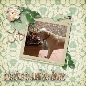take time to smell the flowers