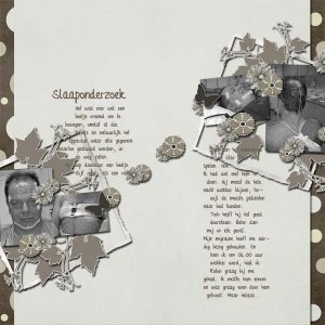 Slaaponderzoek