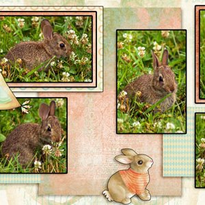 Having a Hoppy Day