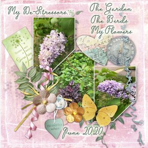 De-Stressing With Gardening