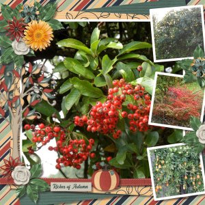 Riches of Autumn