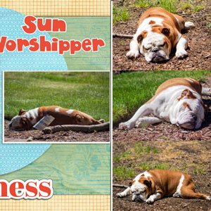 Sun Worshipper