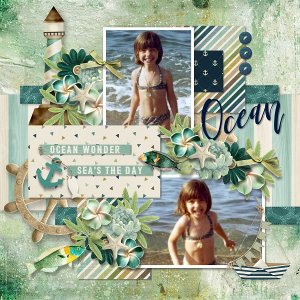 T. July days collection