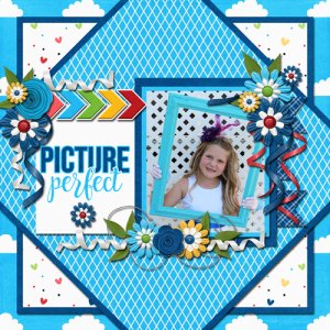 Picture Perfect - J