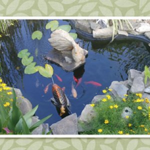 Facebook Header Challenge July 2020