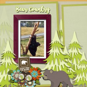 Bear Country