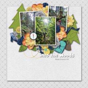 woods