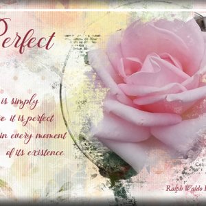 ATC 2020-096 Perfect