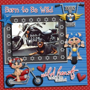 Born to be Wild
