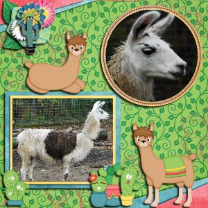Llama