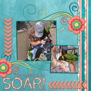 Too curious to SOAR!