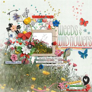 Weeds and wildflowers