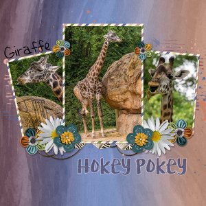 Hokey Pokey