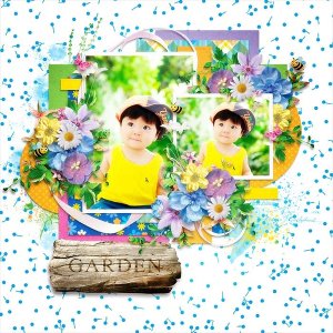 In my garden