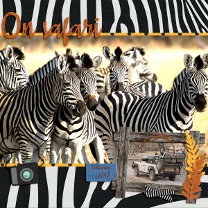 On Safari
