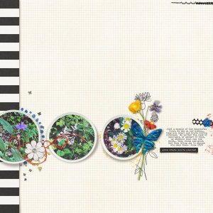 Wildflowers | 2020