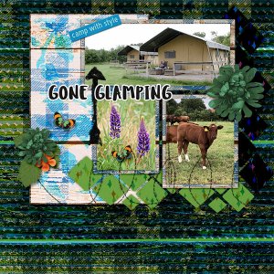 Gone glamping