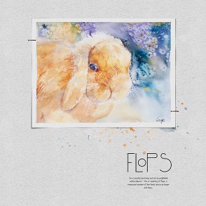 Flops by Izzy